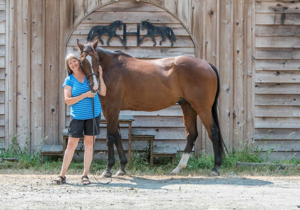 Introducing Headley Holistics, A Trusted Partner For Your Animals Health