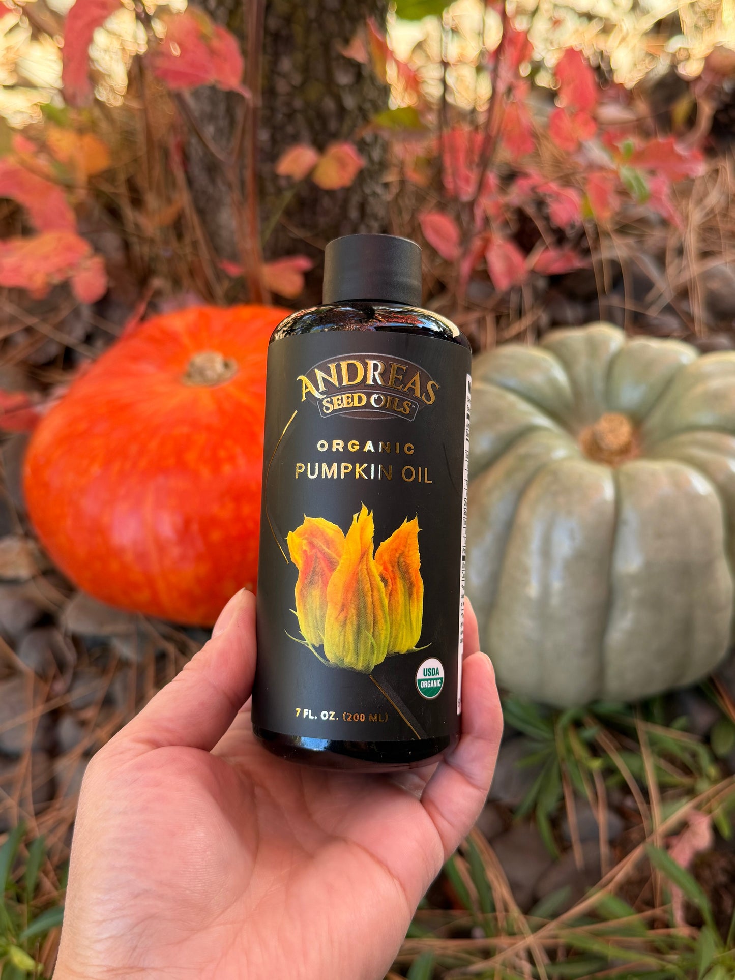 Digestive Health Benefits of Pumpkin Seed Oil