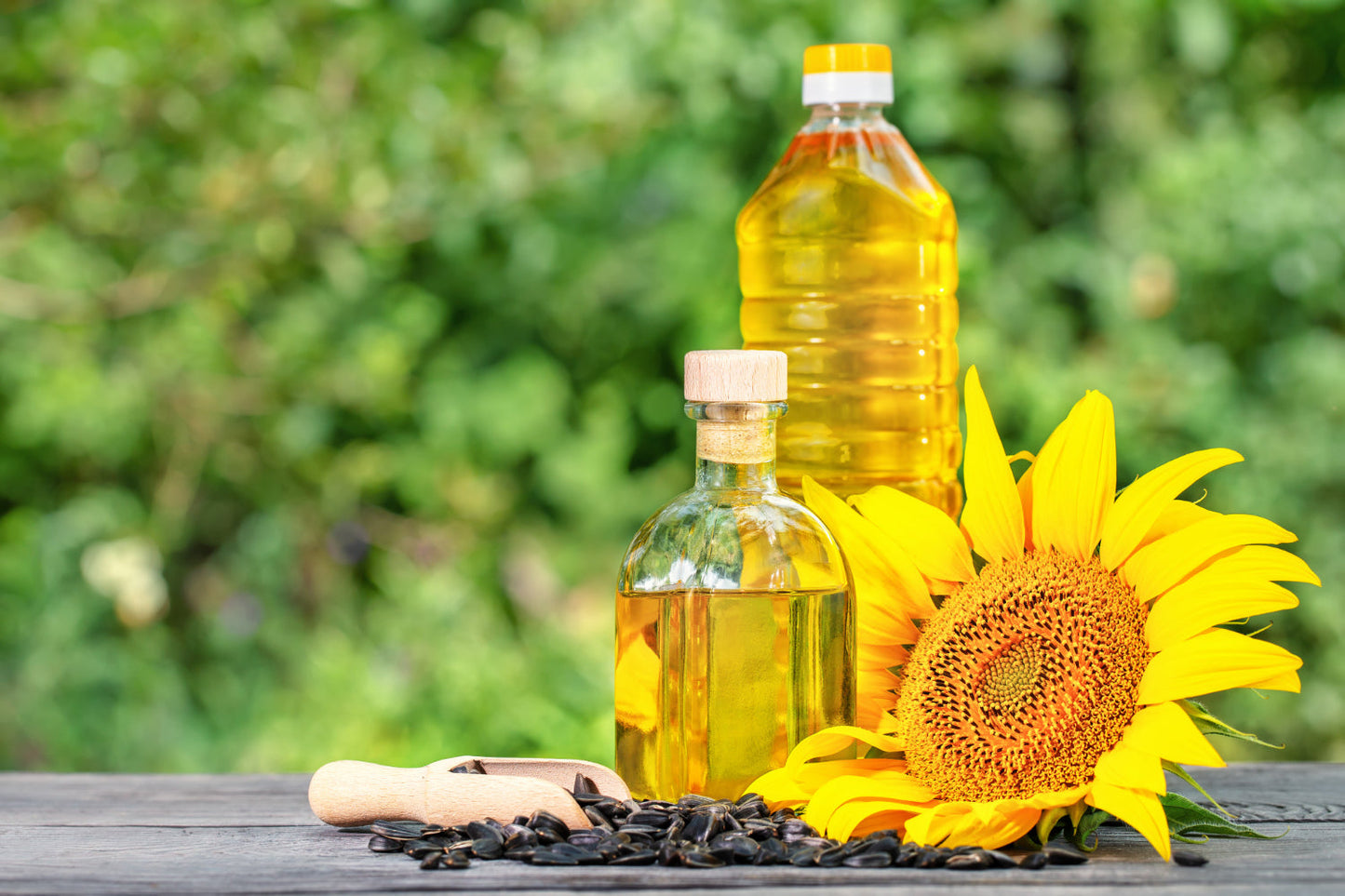 sunflower oil